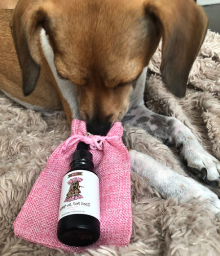 Molly Brown Hemp Oil for Dogs